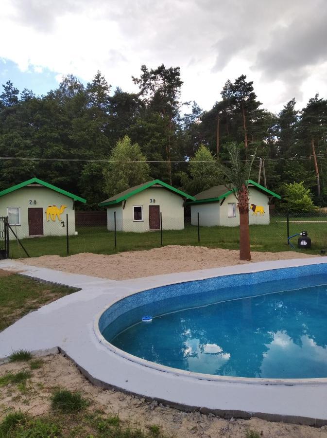 Domki Pod Lasem Плоньск Экстерьер фото